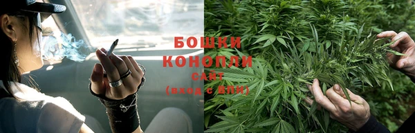 каннабис Алзамай
